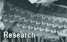 Research